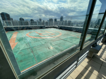 �@����ً̋}���p�w���|�[�g