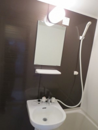 　浴室内の照明・鏡・洗面ボウル・シャワー